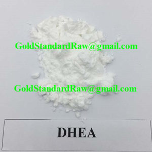 DHEA-Raw-Powder